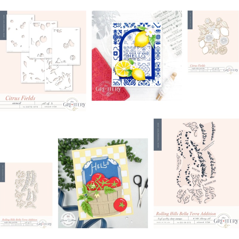 Clear Silicone Stamps For Card Making - Timbri in silicone trasparente Checks Out