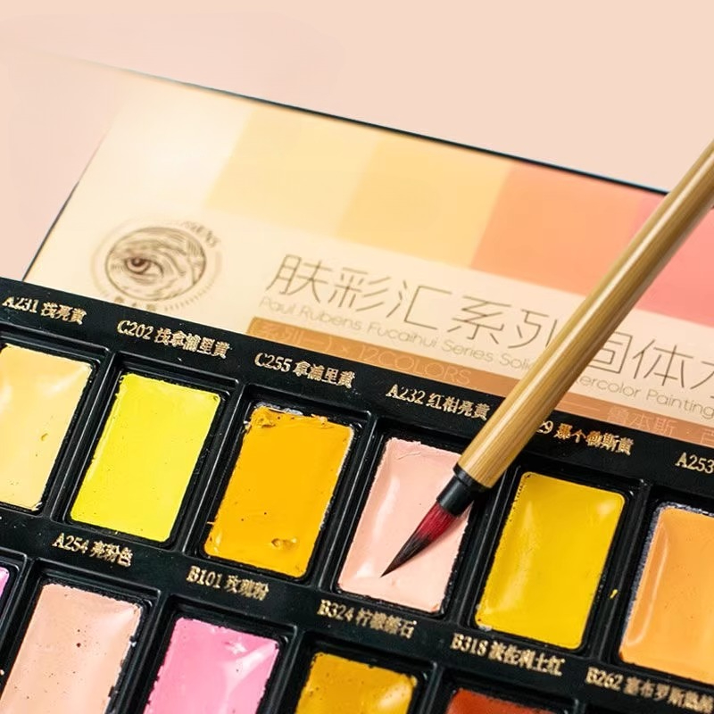 Set di pigmenti per acquerello - Watercolor Paint Set Solid Pigment recensione e prezzo